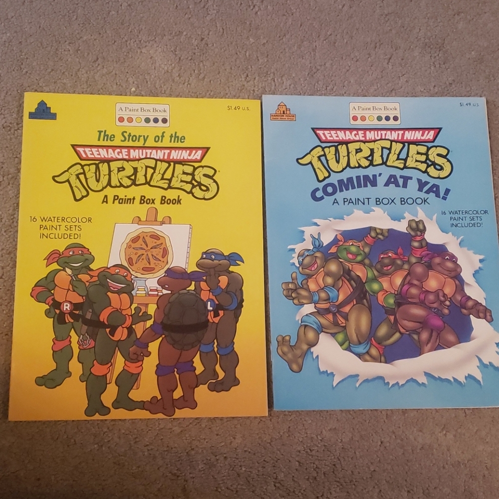 2 VINTAGE TEENAGE MUTANT NINJA TURLTLES 1991 BOOKS